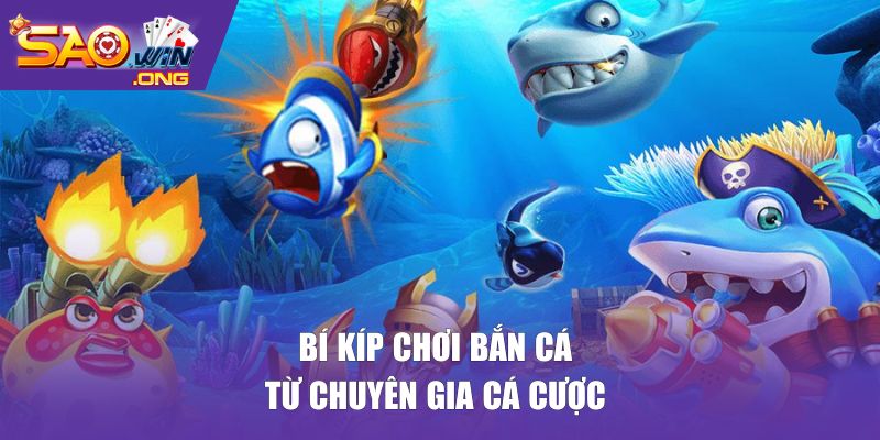 Bí kíp chơi bắn cá từ chuyên gia cá cược